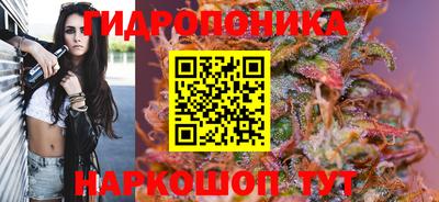 мдпв Тверь