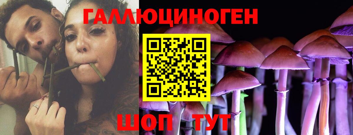 Галлюциногенные грибы Psilocybe  Вход с VPN  Михайловск  Галлюциногенные грибы ЛСД 