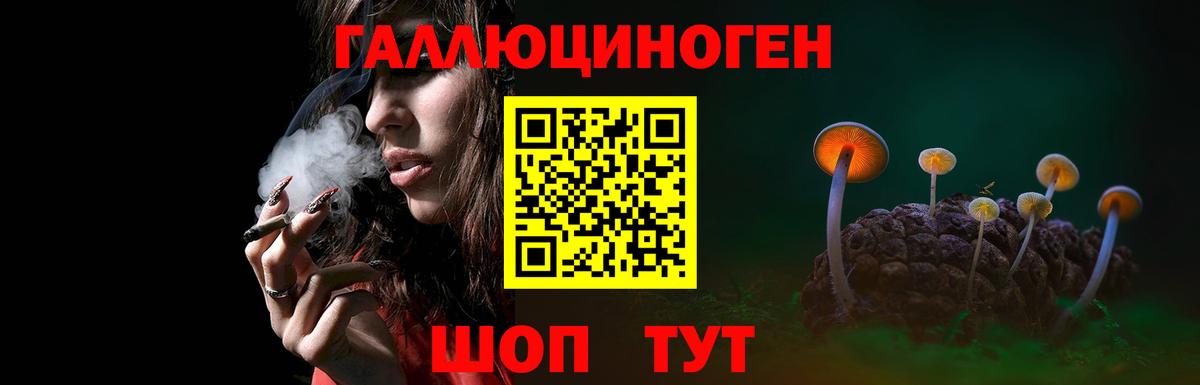Псилоцибиновые грибы Magic Shrooms Михайловск